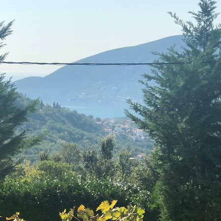 Villa Vila Loza Herceg Novi Exterior foto